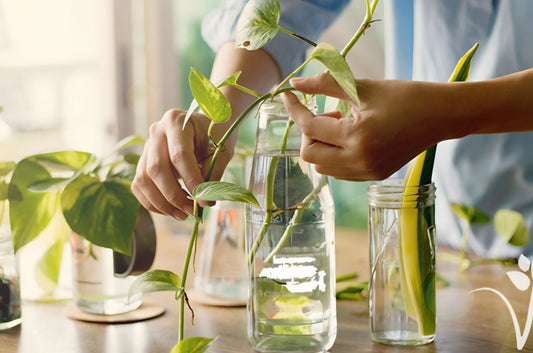 Basic Propagation Workshop Ticket