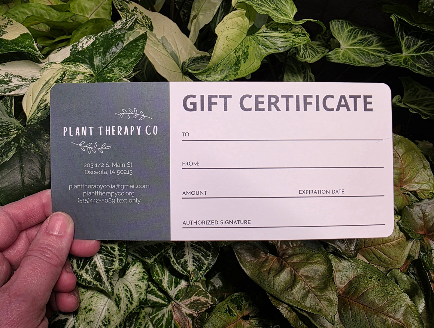 Gift Certificate